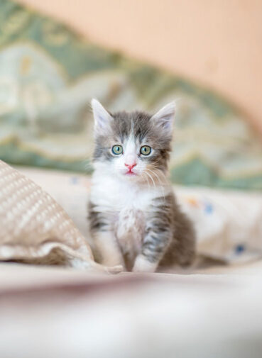 blog_4 single image